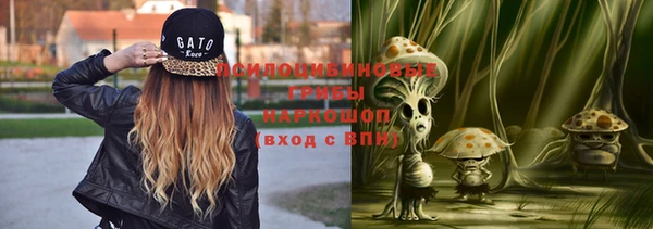 МДПВ Лабытнанги