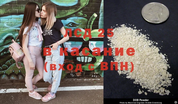 не бодяженный Ладушкин