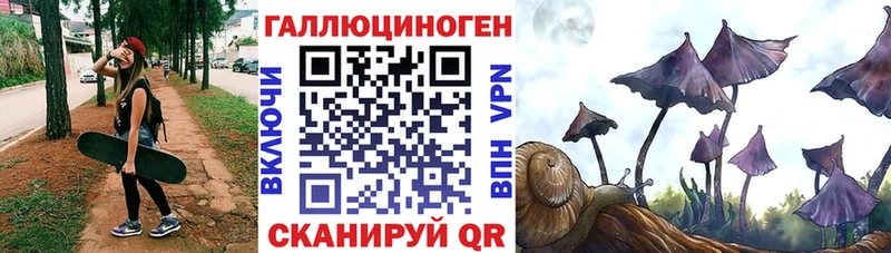 мориарти Telegram  Петушки  Псилоцибиновые грибы Cubensis 